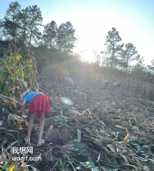 农民“拆瓦房，搬楼房”不好吗？ 我给你算笔账！