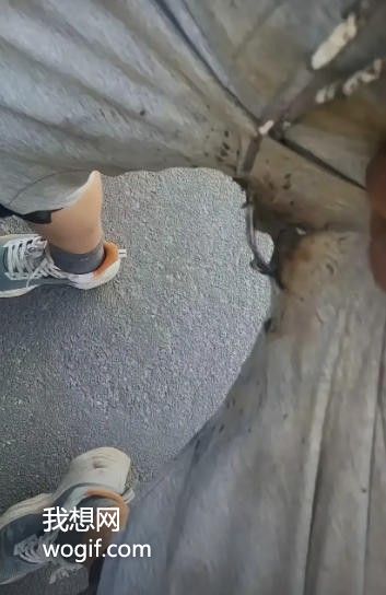 此图，送给骑“新能源”的电动朋友，出门最好穿厚一点的裤子..._我想网