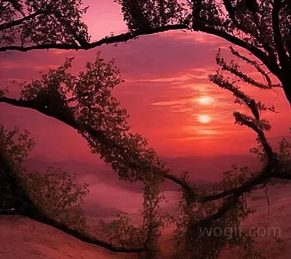 2张怪图（错位图）：看到的，不一定是真的_我想网