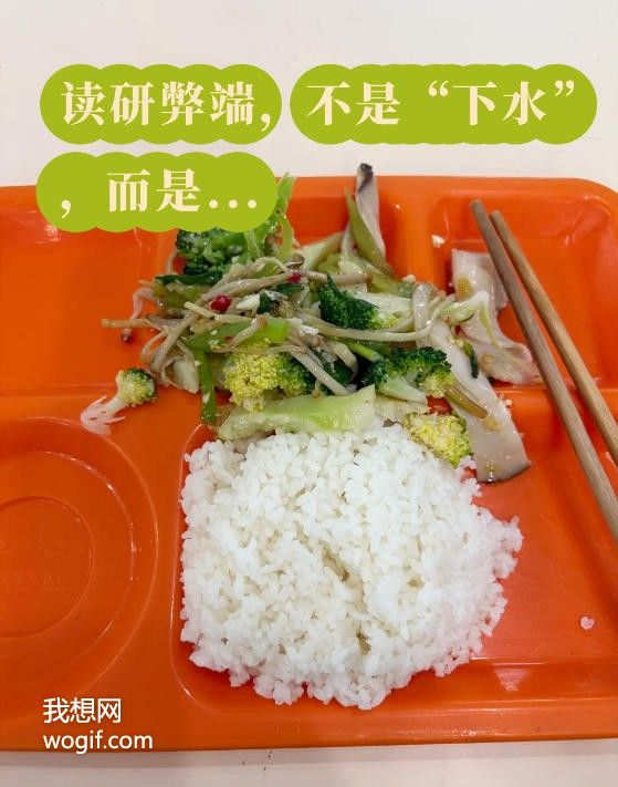 女生读研的大弊端，不是“下水”，而是流了分校区